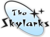 The Skylarks