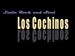 Image for Los Cochinos