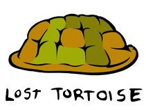 Lost Tortoise