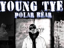 Young Tye Polar Bear