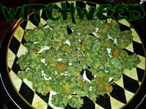 Witchweed