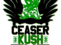 Ceaser Kush