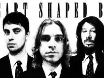 Heart Shaped BOX ( A Nirvana Tribute)