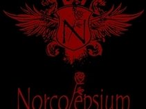 Norcolepsium