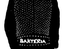 Bakteria