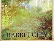Rabbit City