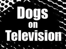 Dogs on Television