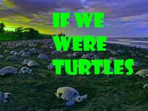 If We Were Turtles