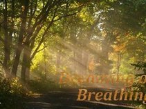Dreaming of Breathing