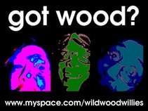 Wild Woody & The Wildwood Willies