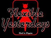 Flexible Yesterdays