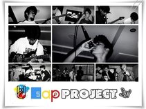 S.A.P Project