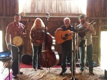 Bug Tussel Bluegrass Band