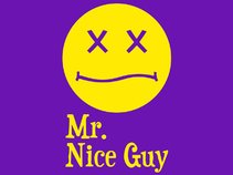 Mr Nice guy