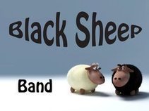 Black Sheep Band Kingston