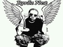 Byrd'z Nest Productions