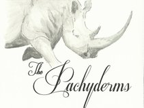 The Pachyderms