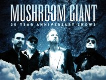 Mushroom Giant