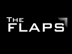 Image for The FLAPS