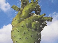 Image for Heavy Nopal