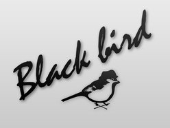 Image for Black Bird