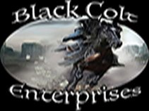 Black Colt Enterprises