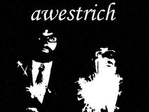Awestrich