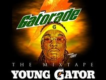 Young Gator Music