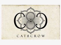 Cat8Crow