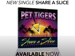 Image for Pet Tigers