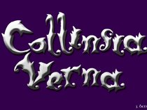 Collinsia Verna
