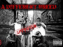 A.D.B  '' A Different Breed ''