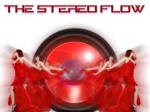 THE STEREO FLOW