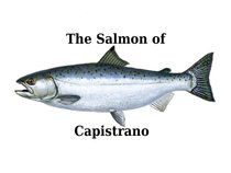 The Salmon of Capistrano