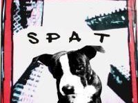Image for SPAT