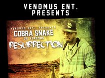 Cobra Snake Da Venomus