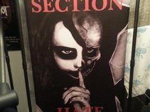 SECTION HATE