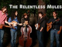 The Relentless Mules
