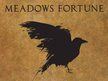 Meadows Fortune
