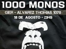 1000 MONOS