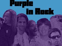 Purple in Rock