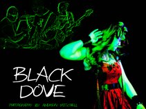 Black Dove (UK)