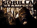 Gorilla Stampeed
