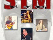 STM(Short Term Memory)Band