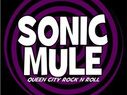 Image for Sonic Mule