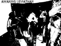 Awaking Leviathan