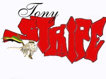 Tony Stripes