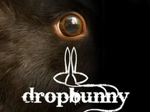 dropbunny