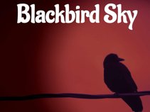 Blackbird Sky