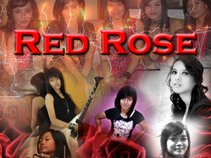 Red Rose Band